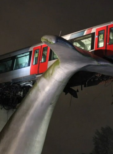 Современное искусство спасает: гигантский хвост кита не дал сорваться поезду