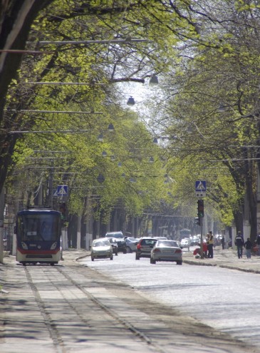 В Одессе мэрия хочет реконструировать Французский бульвар, горожане и урбанисты против: это убьет дух места