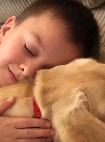 8-летний украинец собрал в Instagram 1 миллион лайков, чтобы родители позволили ему завести собаку
