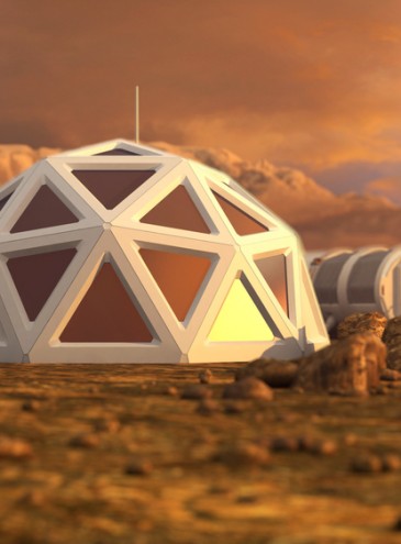 Из чернобыльского грибка создадут щит от радиации для поселений землян на Луне и Марсе