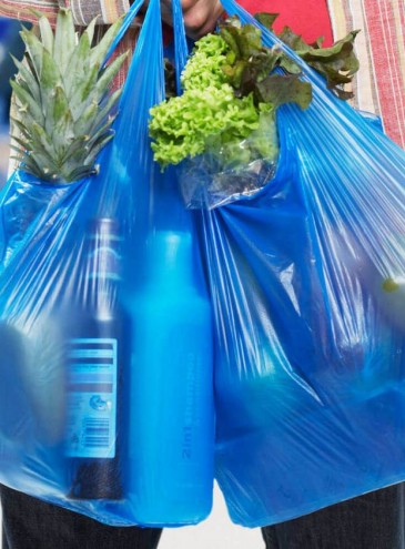 В соседней Молдове полностью запретили продажу пластиковых пакетов и одноразовой посуды